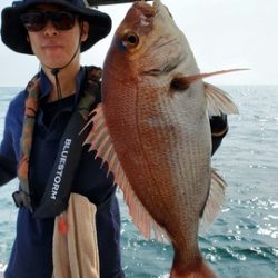 遊漁船 ニライカナイ 釣果