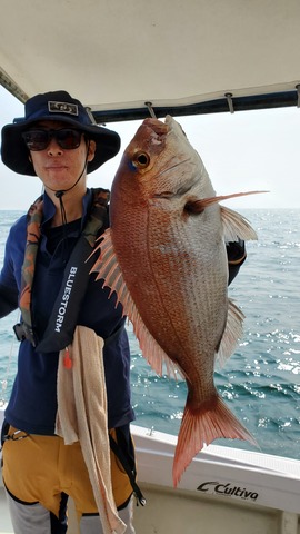 遊漁船 ニライカナイ 釣果