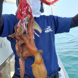 遊漁船　ニライカナイ 釣果