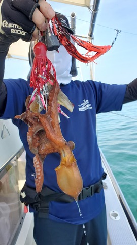 遊漁船　ニライカナイ 釣果