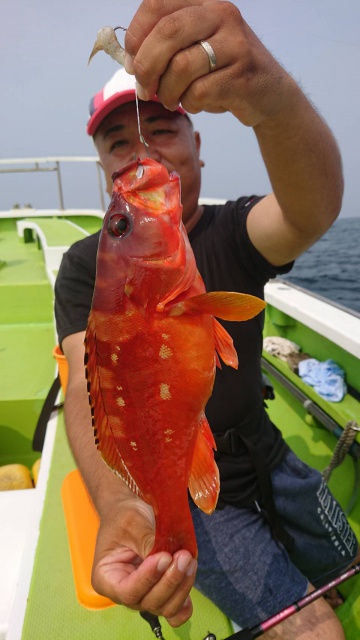 松栄丸 釣果