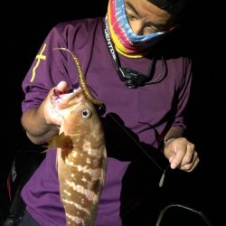 Magic(マジック) 釣果