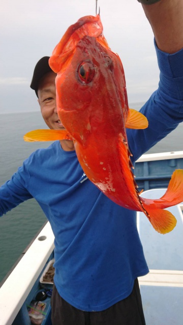 松栄丸 釣果