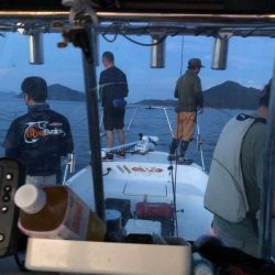 Magic（マジック） 釣果