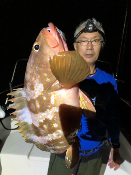 Magic（マジック） 釣果