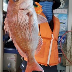 遊漁船　ニライカナイ 釣果
