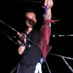 まるいち丸 ZERO-1 釣果