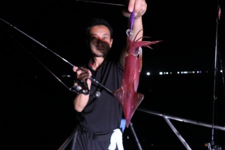 まるいち丸 ZERO-1 釣果