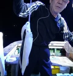 松福丸 釣果