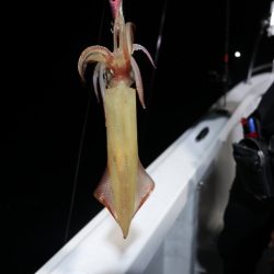 まるいち丸 ZERO-1 釣果