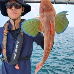 遊漁船 ニライカナイ 釣果