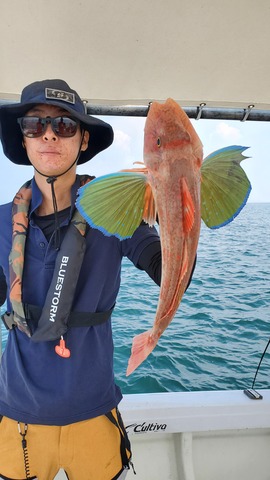 遊漁船 ニライカナイ 釣果