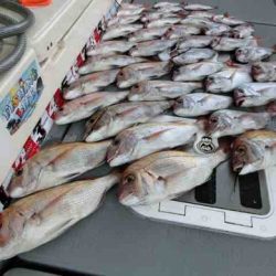 遊漁船 セトマリン 釣果