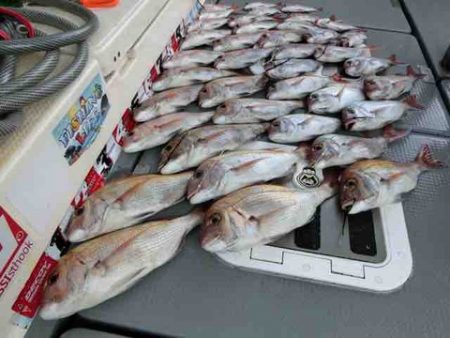 遊漁船 セトマリン 釣果