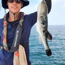 遊漁船 ニライカナイ 釣果