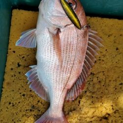 遊漁船 ニライカナイ 釣果