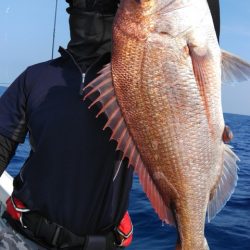 遊漁船 新鋭丸 釣果