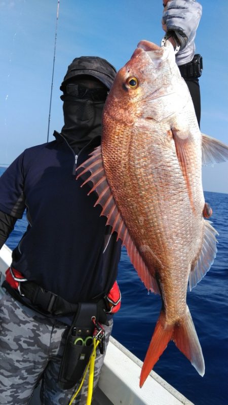 遊漁船 新鋭丸 釣果