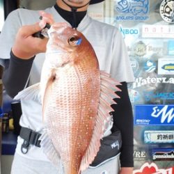 遊漁船　ニライカナイ 釣果