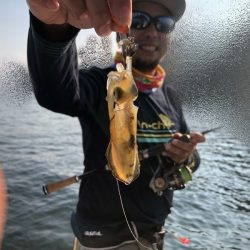 Magic(マジック) 釣果