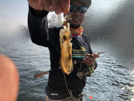 Magic（マジック） 釣果