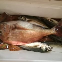 松福丸 釣果