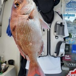 遊漁船　ニライカナイ 釣果