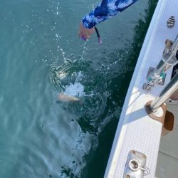 遊漁船 ニライカナイ 釣果