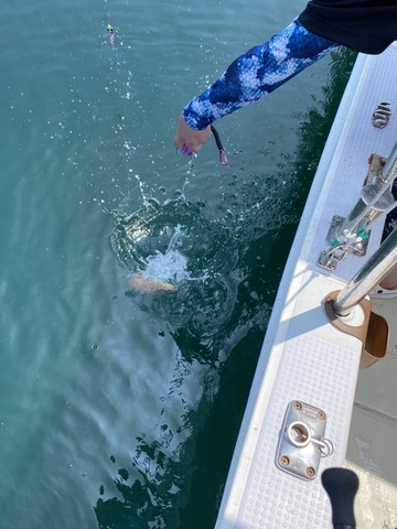 遊漁船 ニライカナイ 釣果