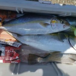 第五慶門丸 釣果