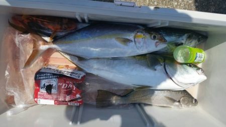 第五慶門丸 釣果