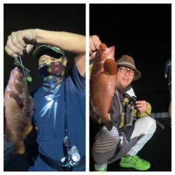 シーマジカル 釣果