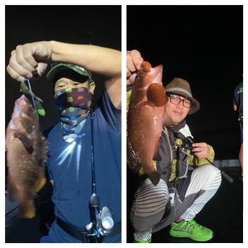 シーマジカル 釣果