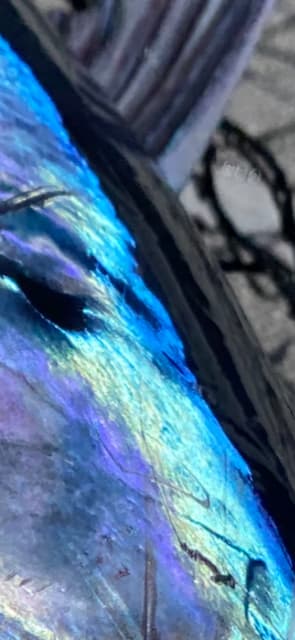 へいみつ丸 釣果