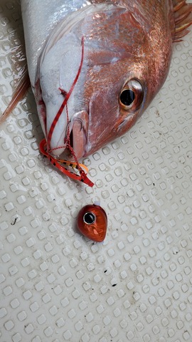 遊漁船 ニライカナイ 釣果