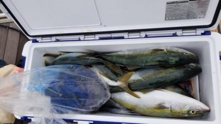 暁〜akatsuki〜 釣果