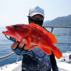 開進丸 釣果