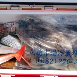 弘福丸 釣果