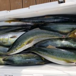 暁〜akatsuki〜 釣果