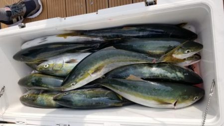 暁〜akatsuki〜 釣果