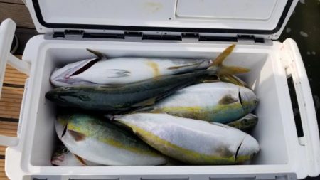 暁〜akatsuki〜 釣果