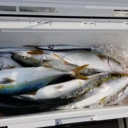 暁〜akatsuki〜 釣果