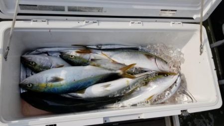 暁〜akatsuki〜 釣果