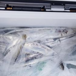 暁〜akatsuki〜 釣果