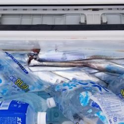 暁〜akatsuki〜 釣果