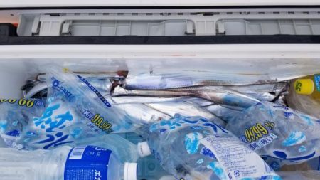 暁〜akatsuki〜 釣果