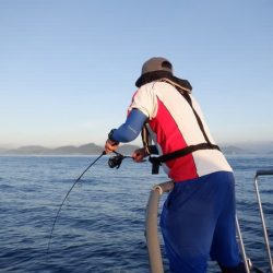 開進丸 釣果