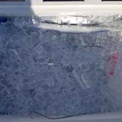 暁〜akatsuki〜 釣果