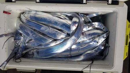 暁〜akatsuki〜 釣果