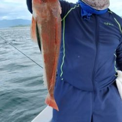 遊漁船　ニライカナイ 釣果